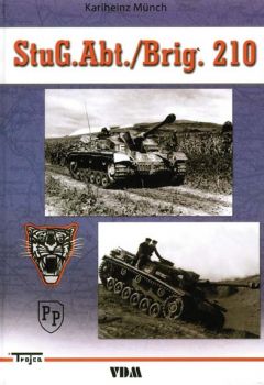 StuG.Abt./Brig.210